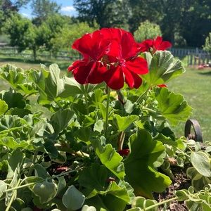 This photo In a frame